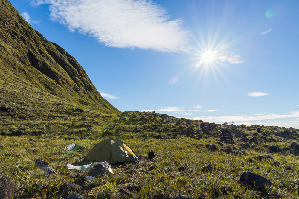 Into The Woods: Terrifying Experiences