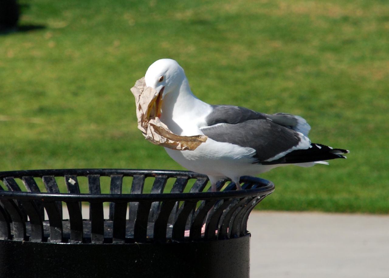 Cases Of Instant Karma