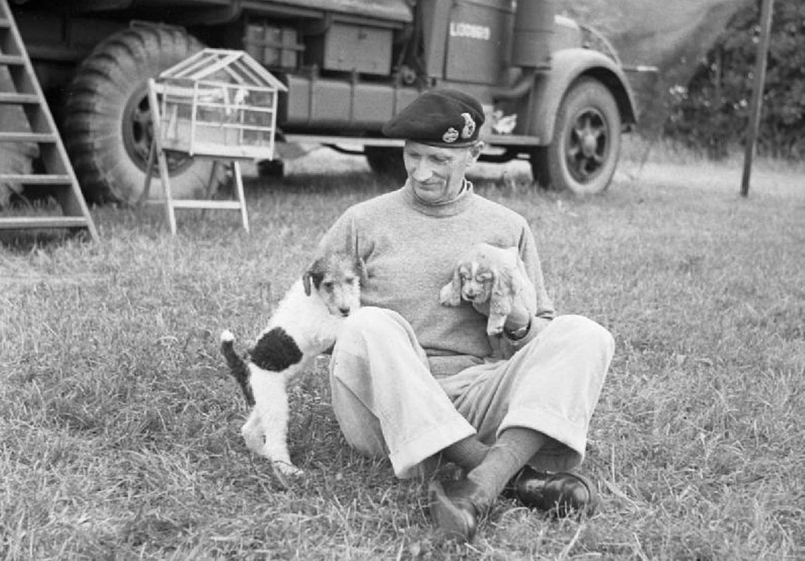 Bernard Montgomery Facts