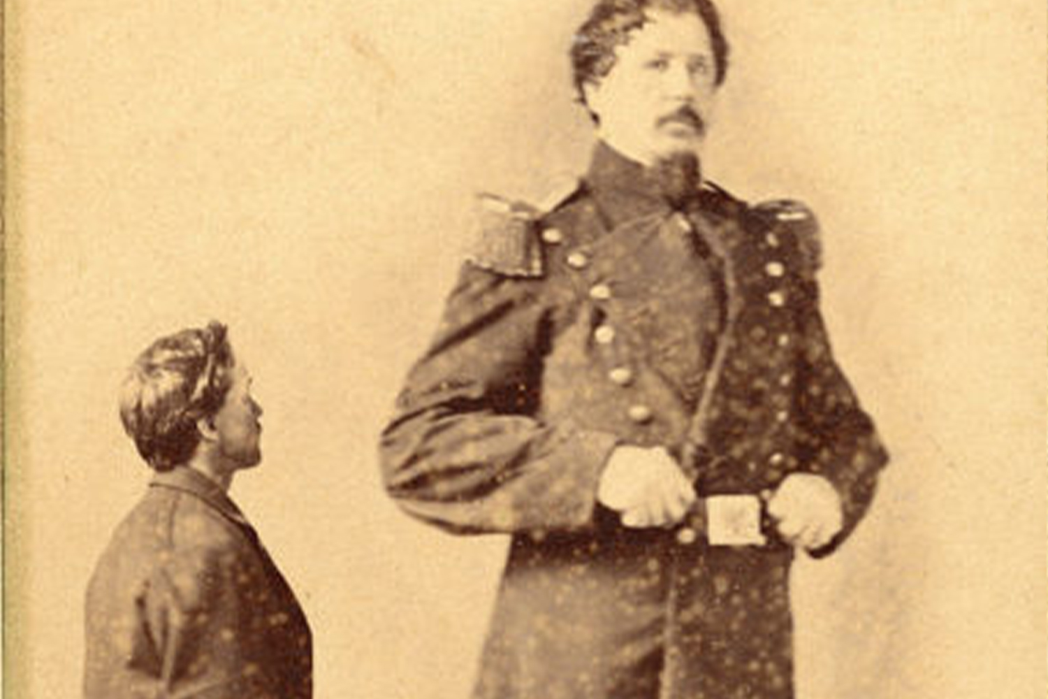 Anna Haining Bates Facts