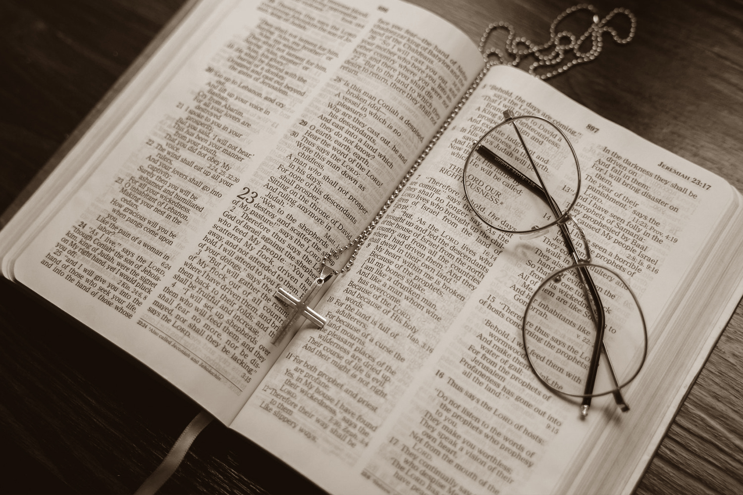 Anna Haining Bates Facts