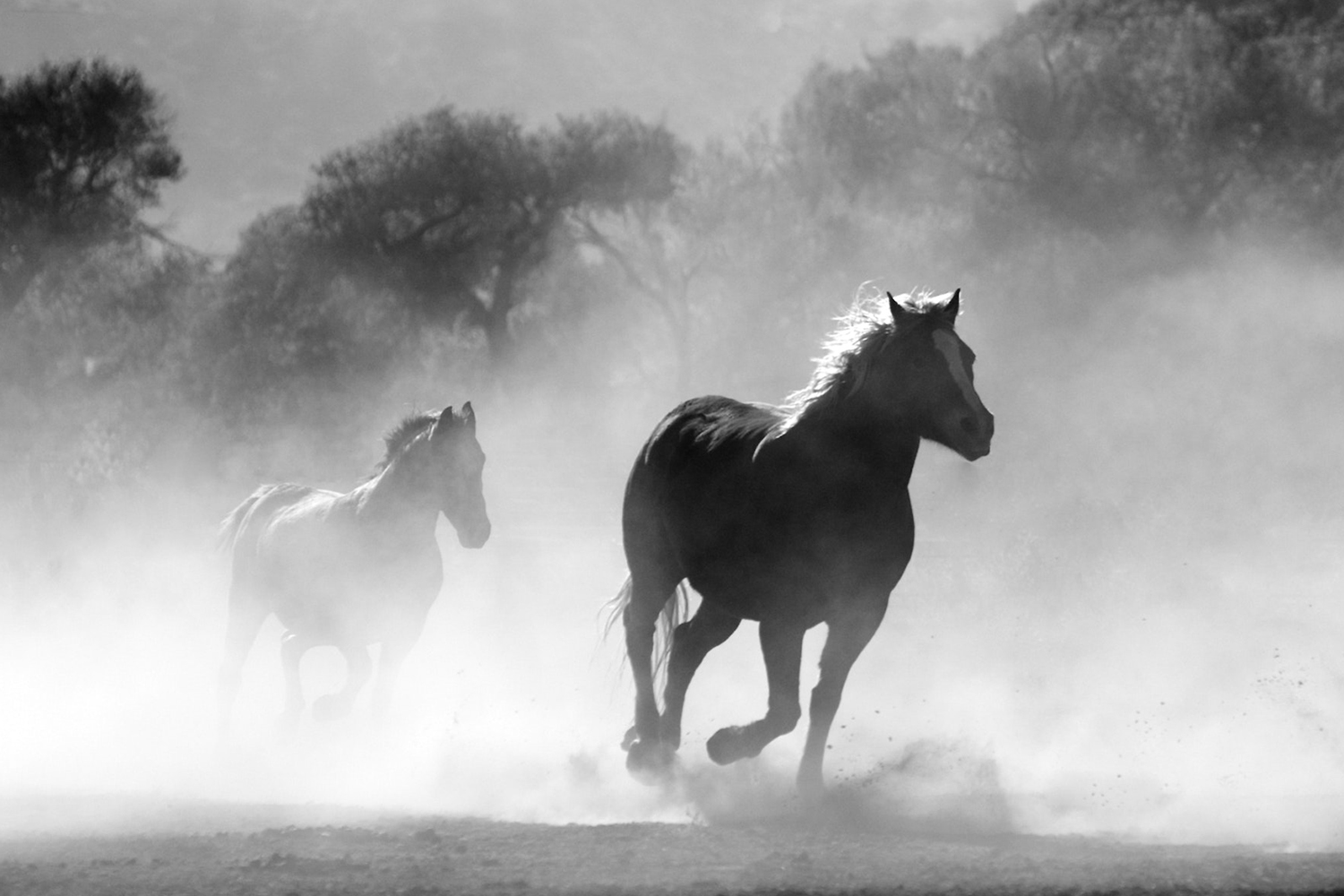 Anna Haining Bates Facts