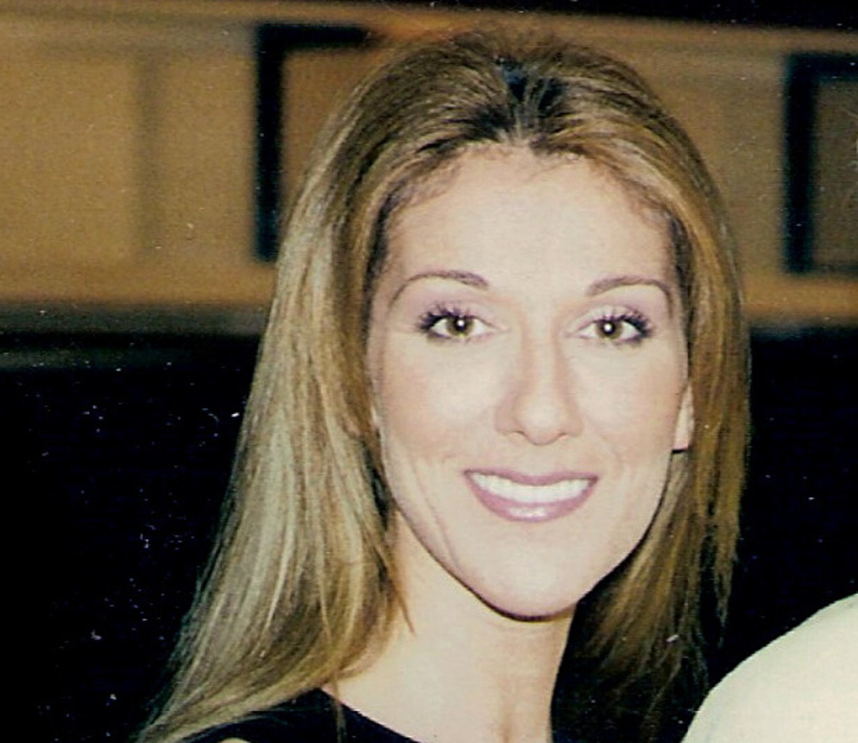 Portrait of the famous singer Celine Dion