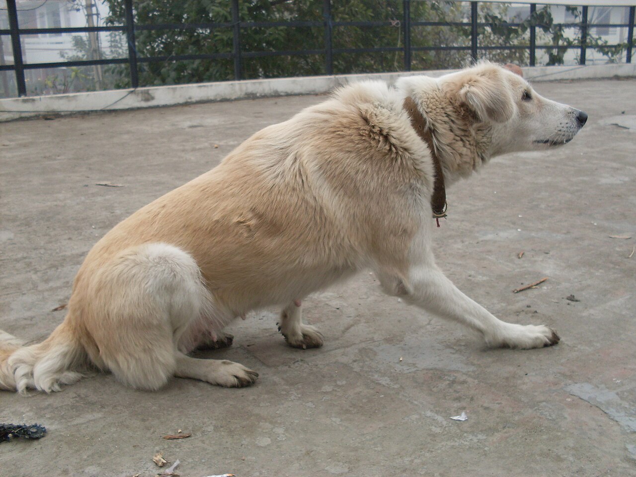 Tales From The Night Shift