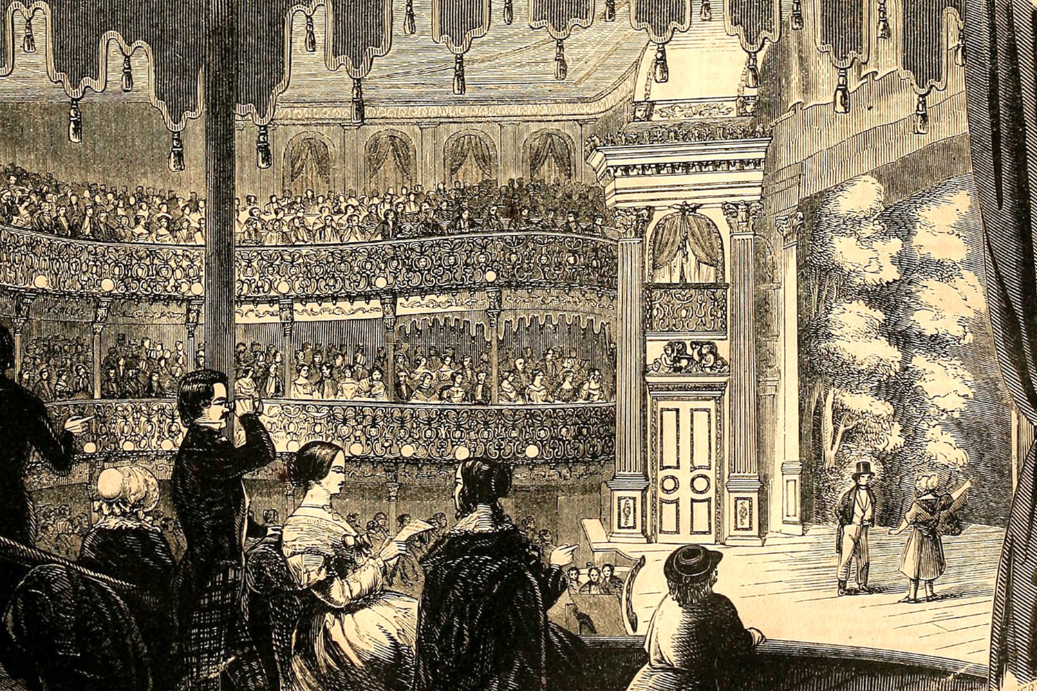 Anna Haining Bates Facts