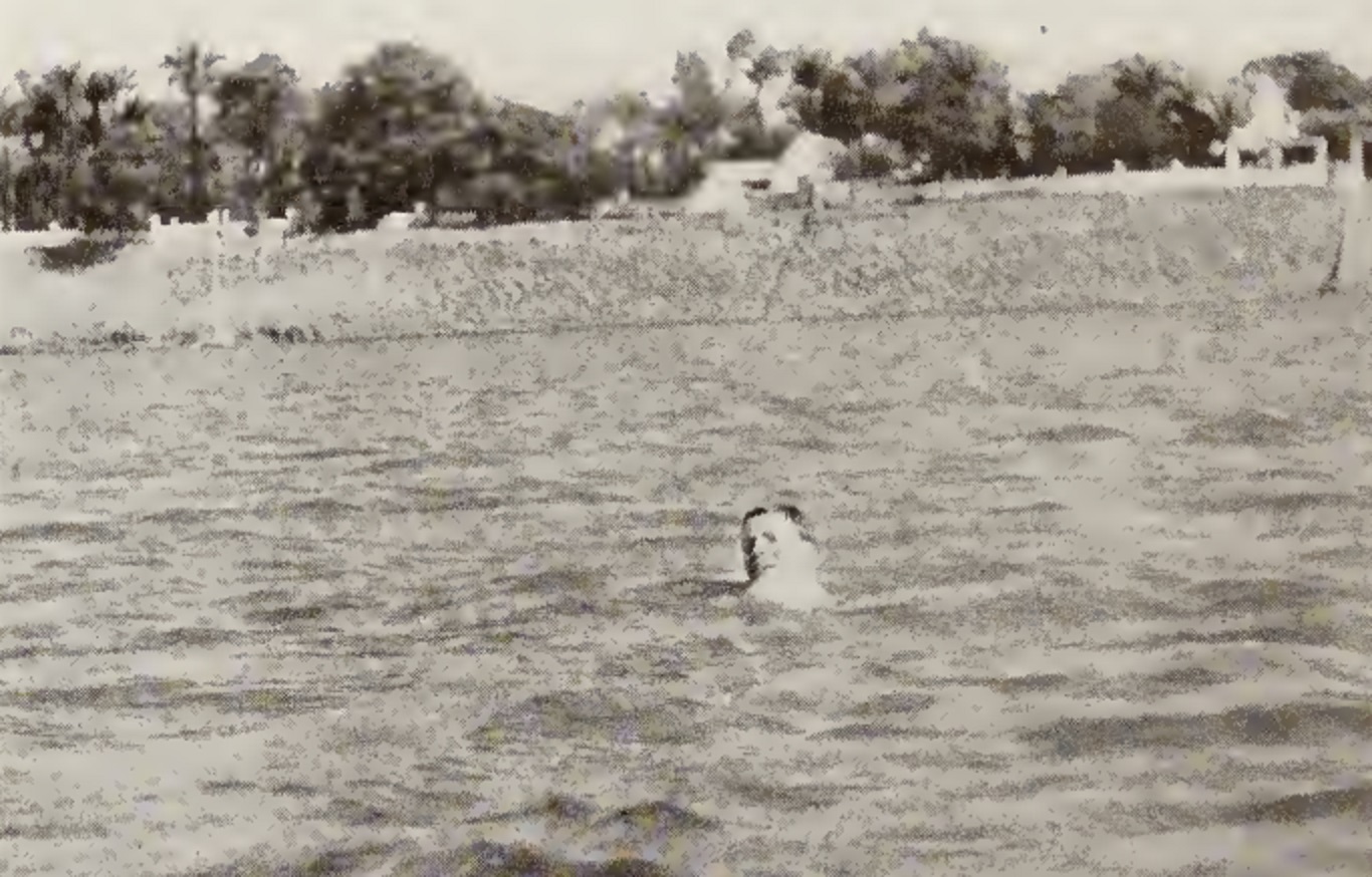 Richard Halliburton Facts