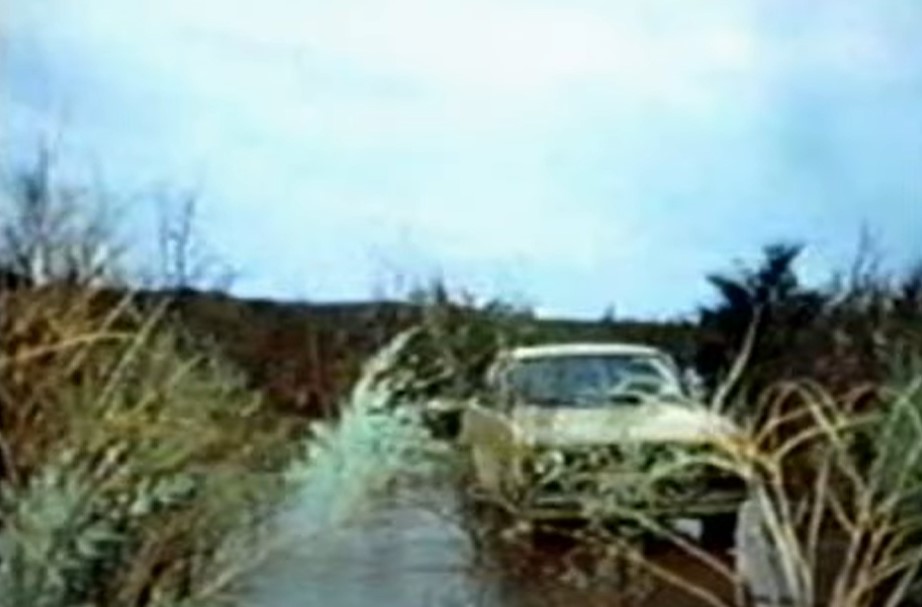 Chris McCandless facts