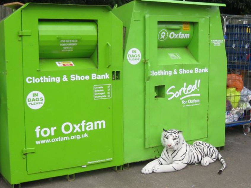 Chris McCandless facts