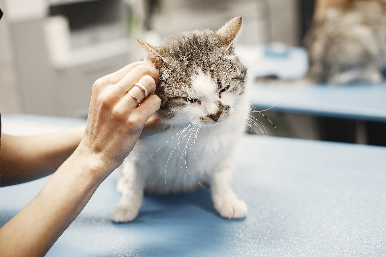 These Nurses Dared To Correct The Doctor