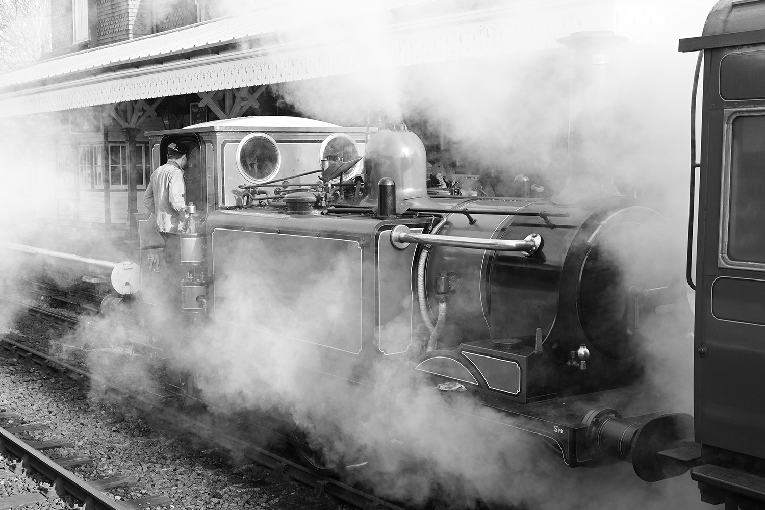 Anna Haining Bates Facts