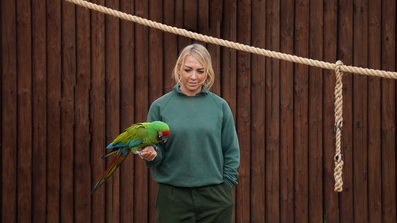 I Know My Family’s Secret