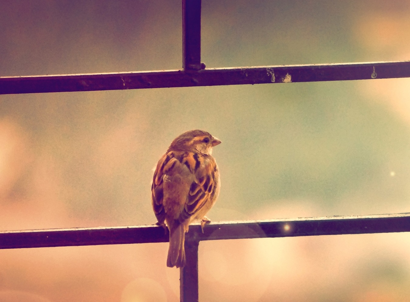 Psych Ward Nurses Tell All