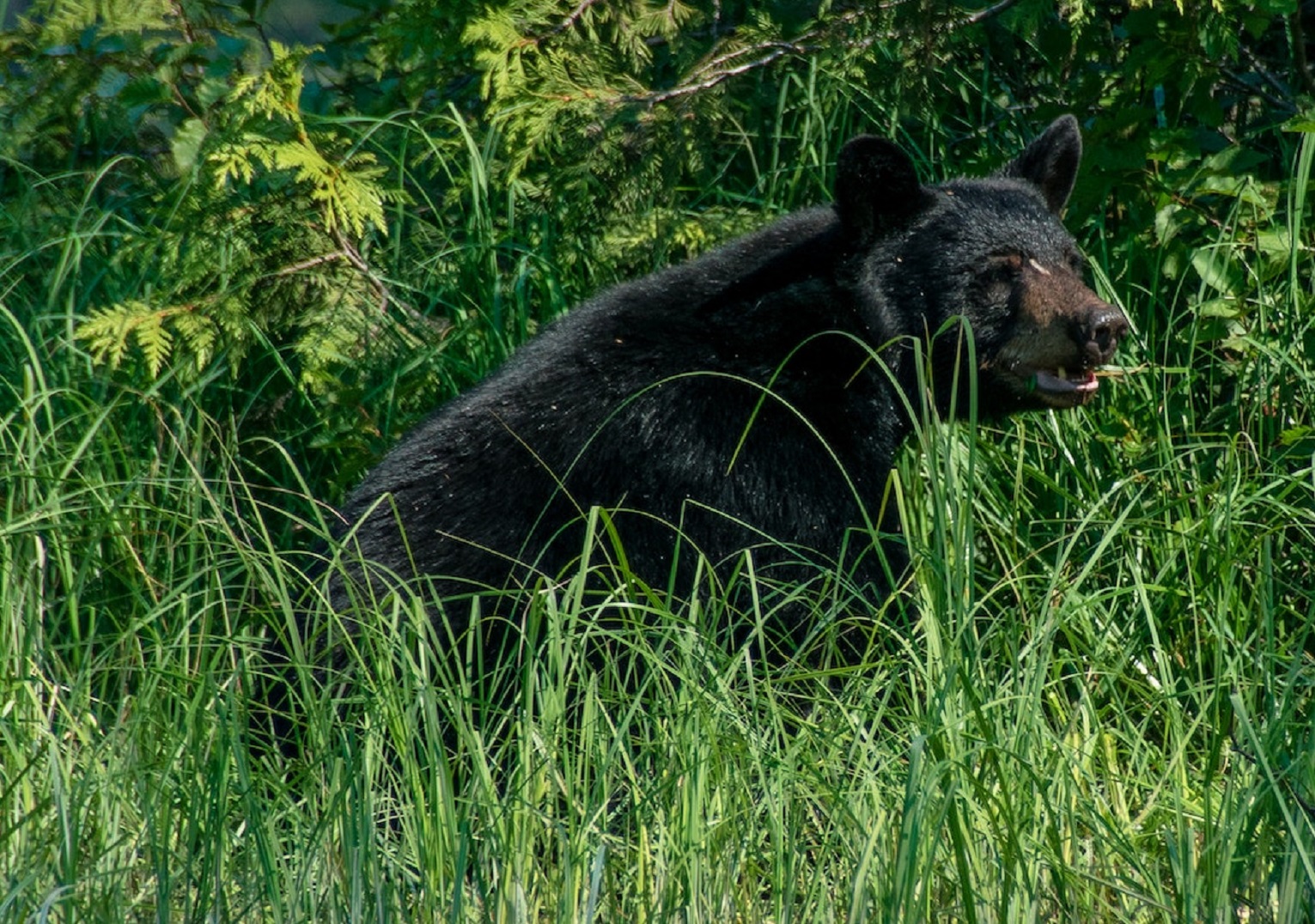 The Most Bone-Chilling Encounters Ever