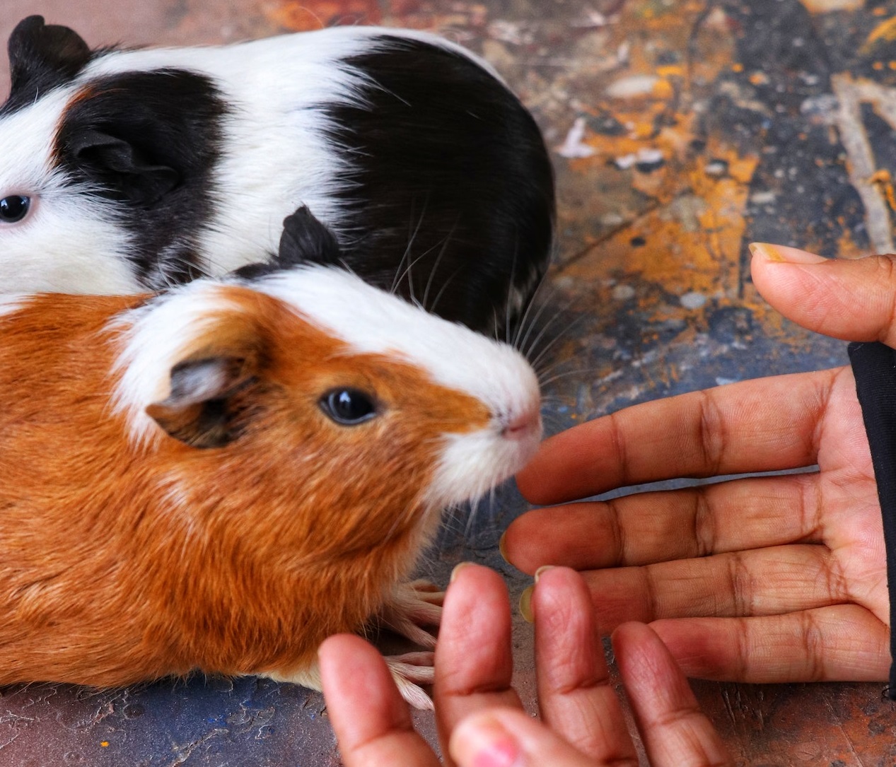 The Worst Birthday Gift EVER