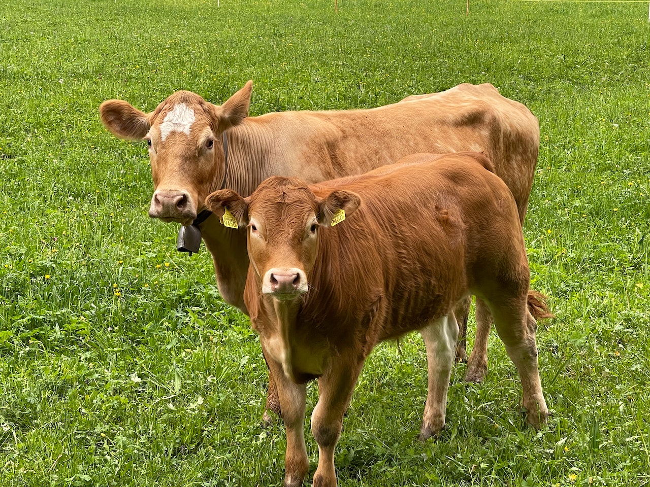 OMG I'm Dating An Idiot