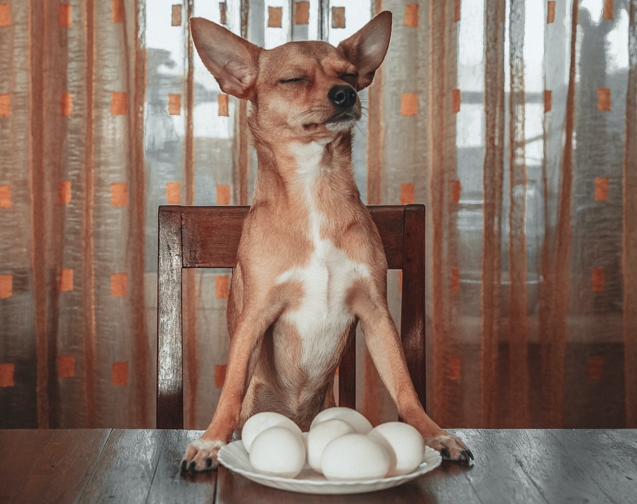 OMG I'm Dating An Idiot