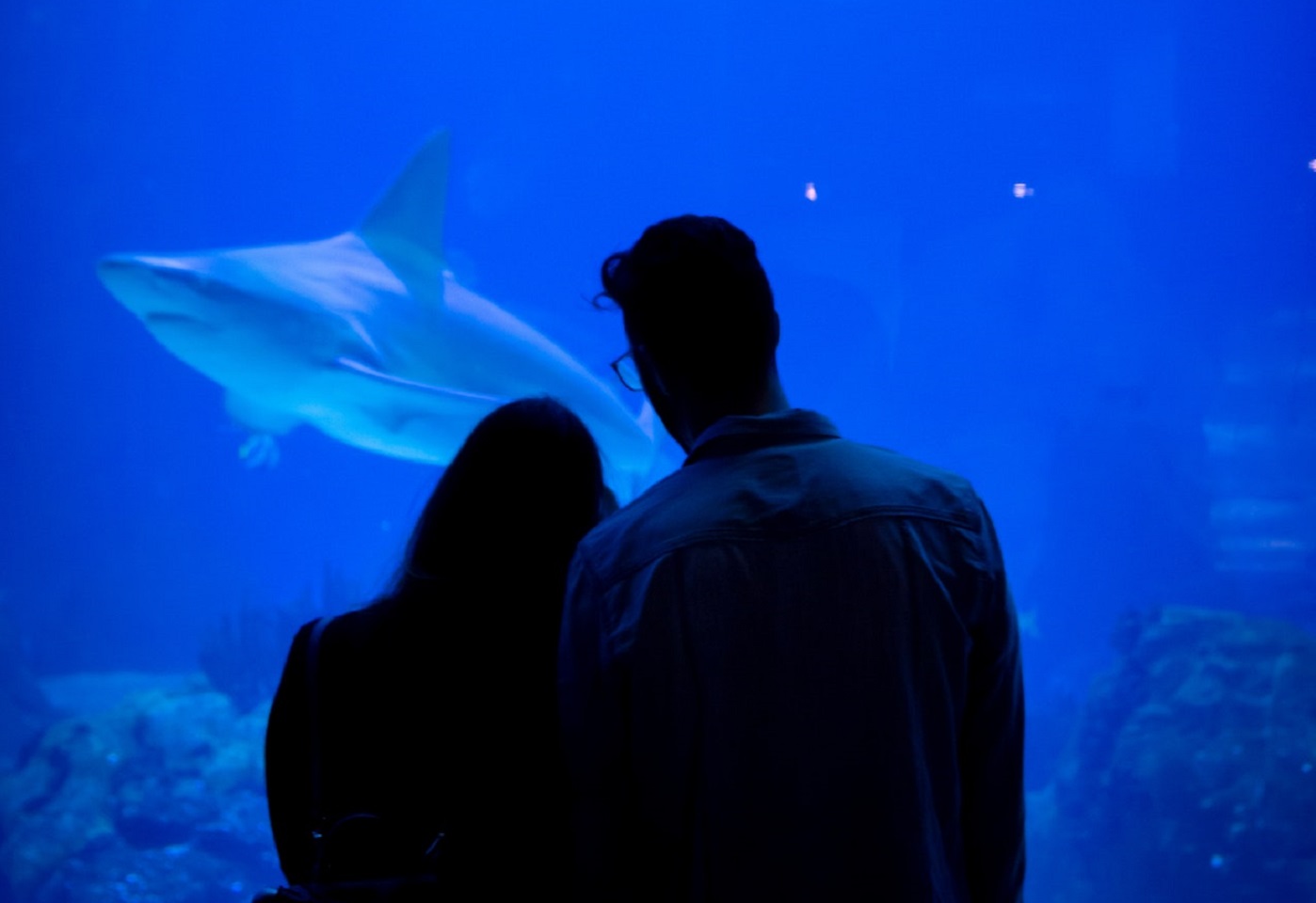 OMG I'm Dating An Idiot