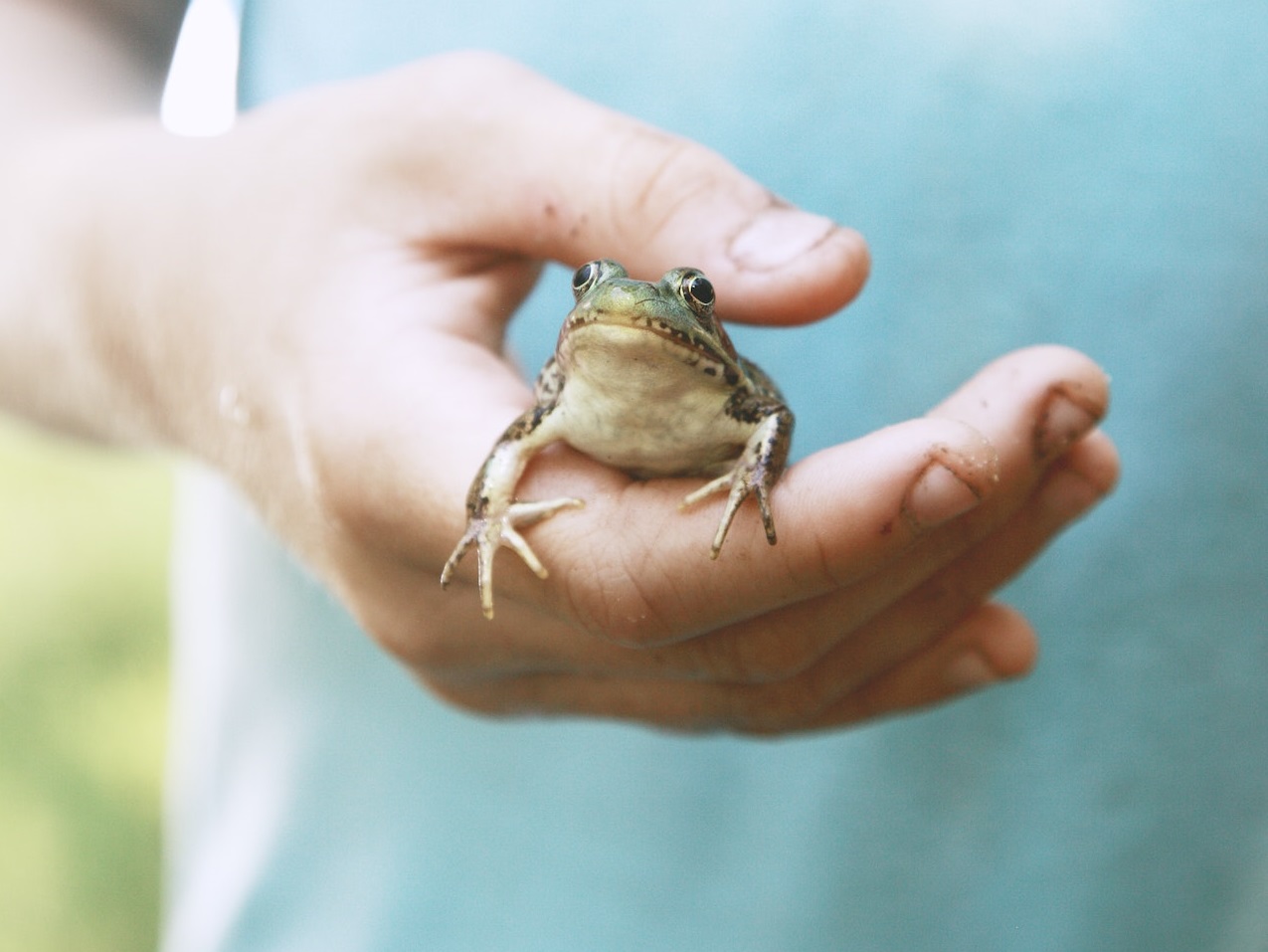 The Customer Is Always Wrong