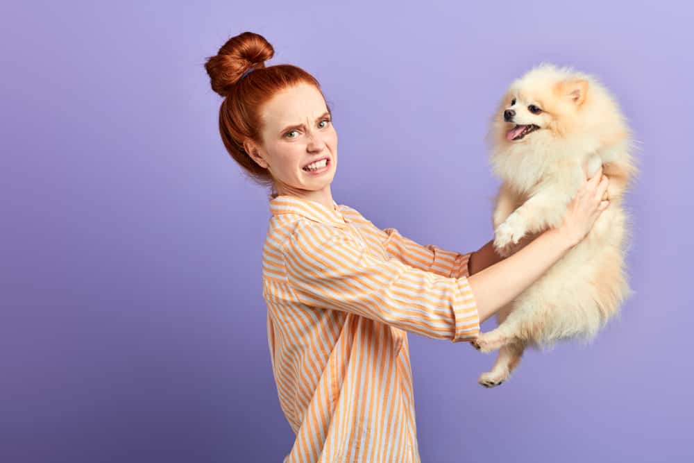 Never Getting Back Together