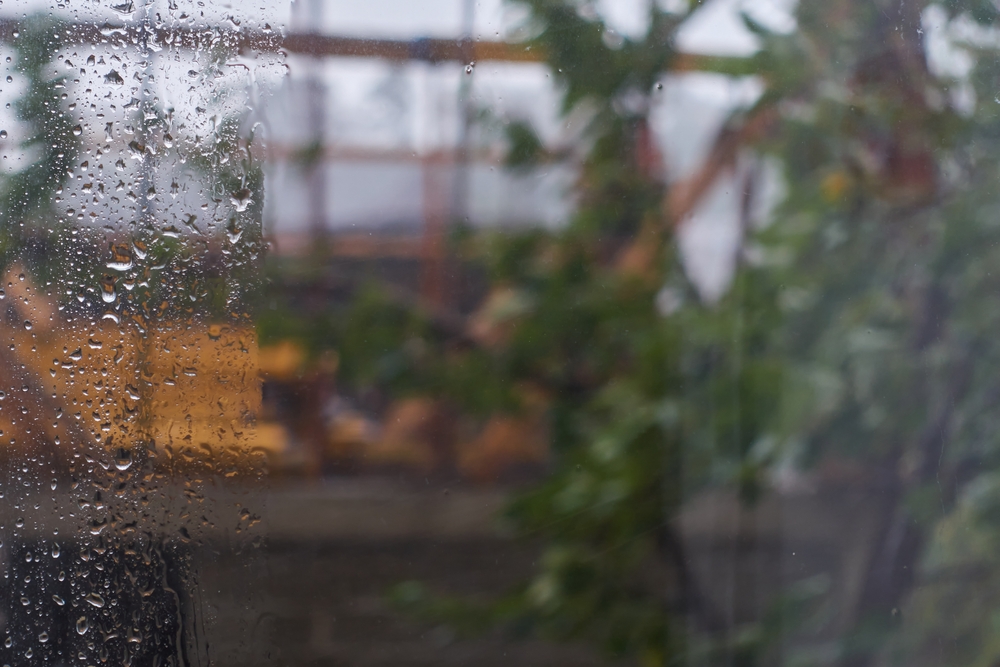 Get Out Of Here ASAP