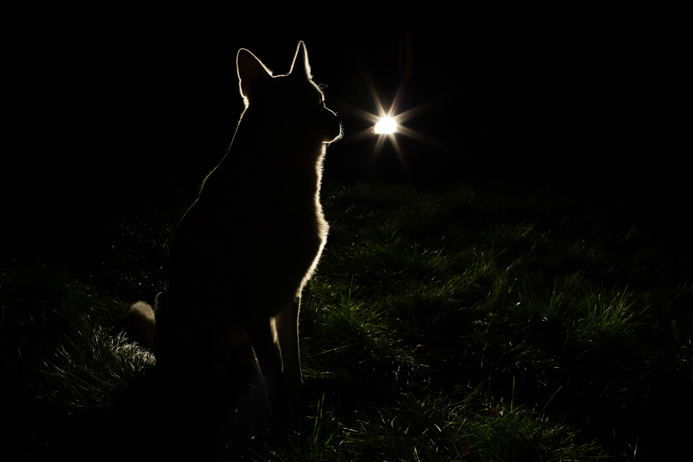 Strangest Moments On The Road