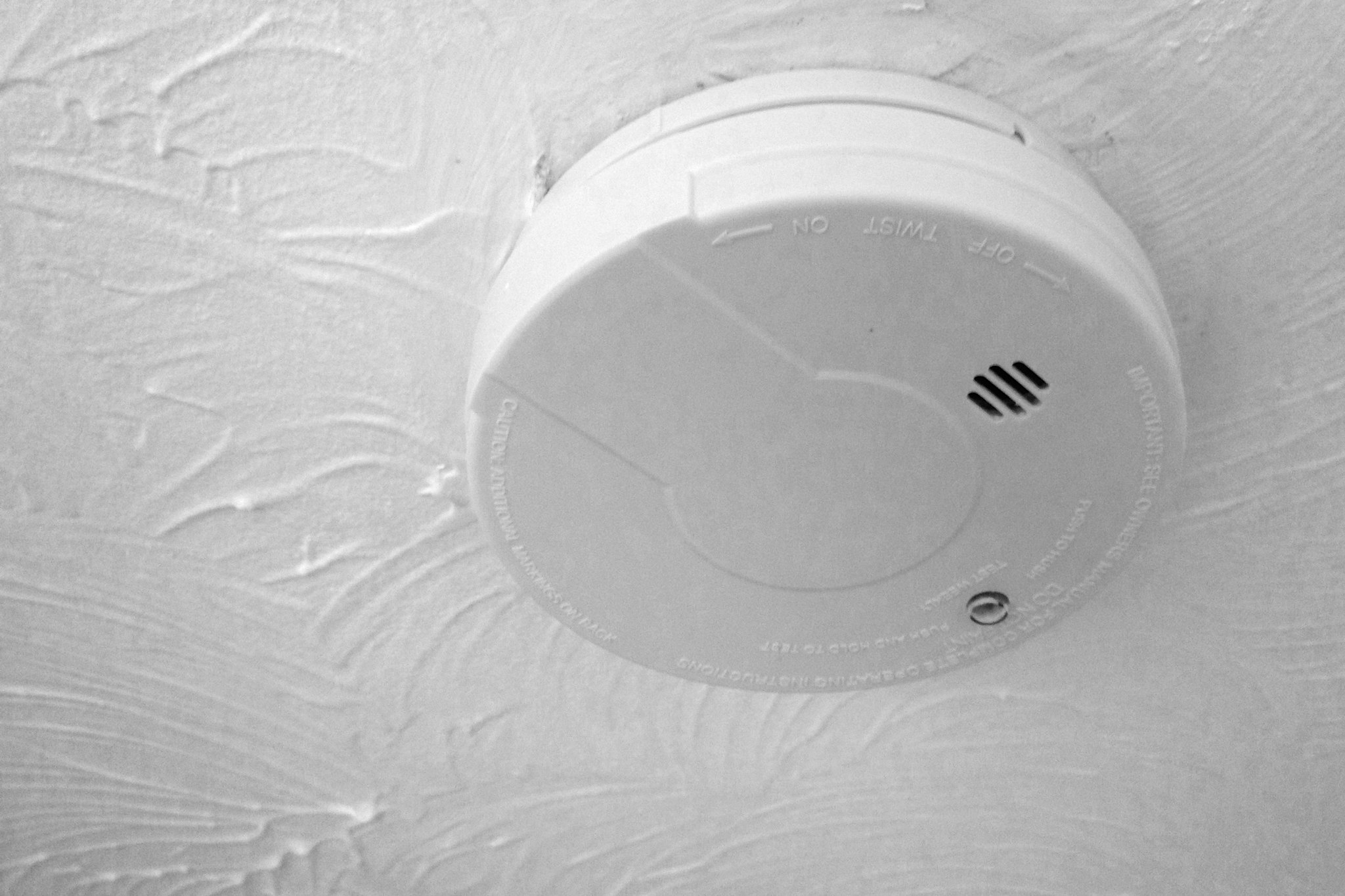 Nobody Believes My Crazy Story