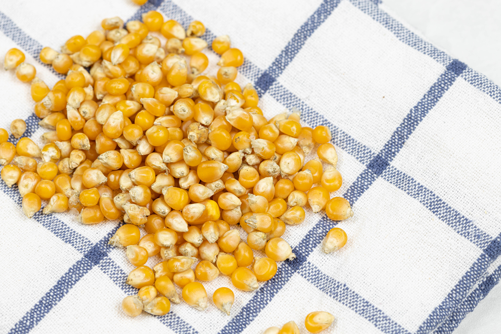 Revenge On My Terrible Boss