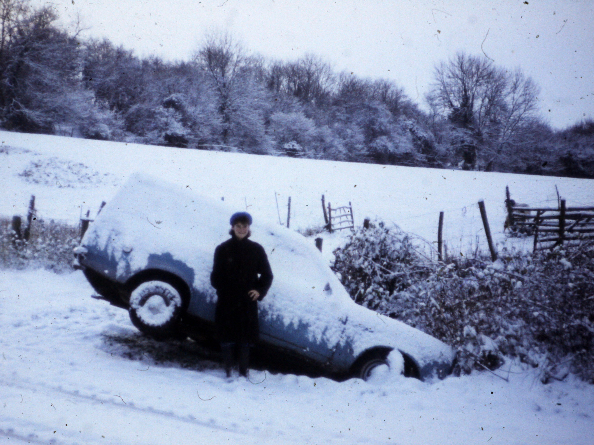 Nobody Believes My Crazy Story