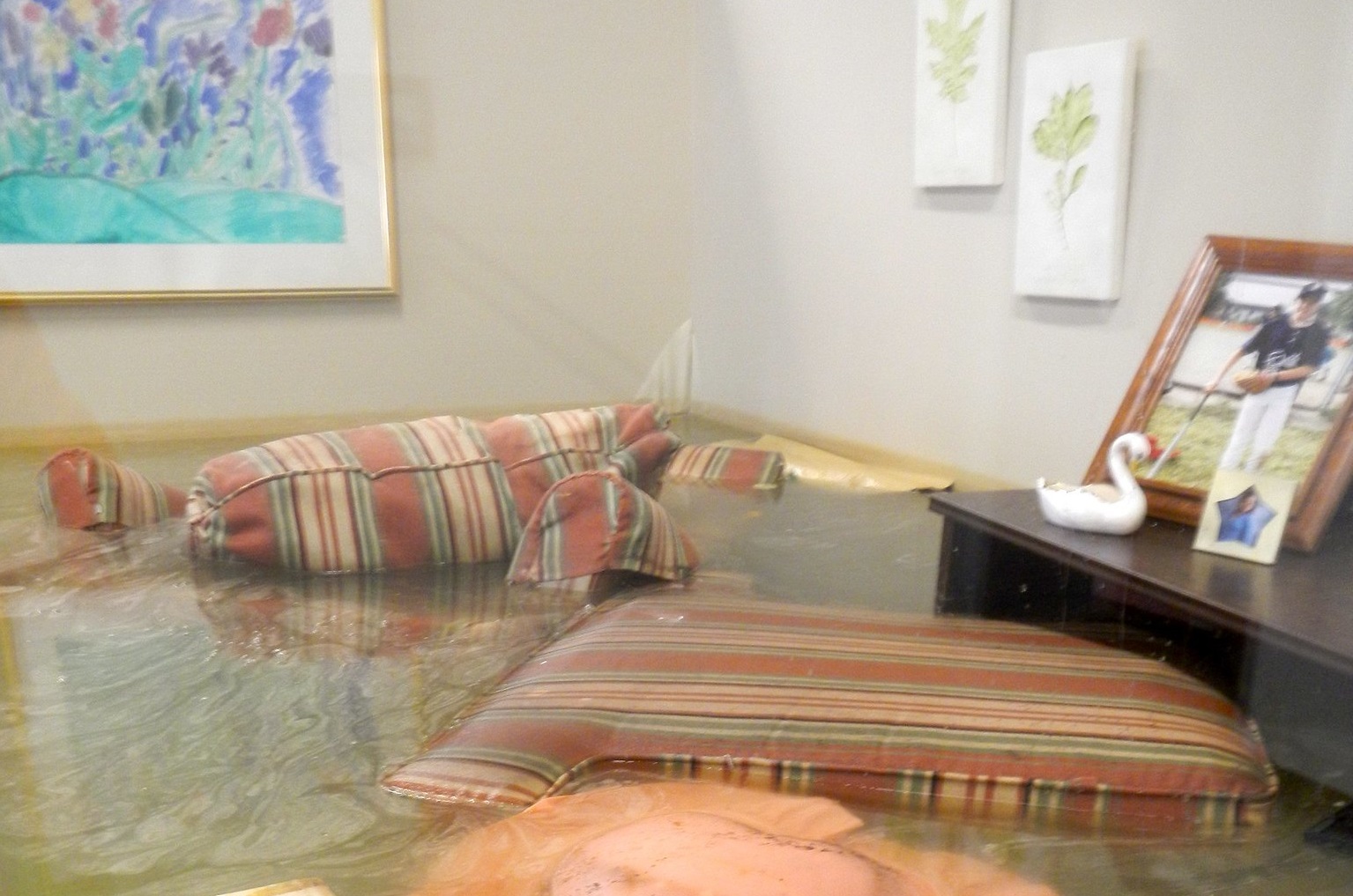 My Worst Roommate Ever