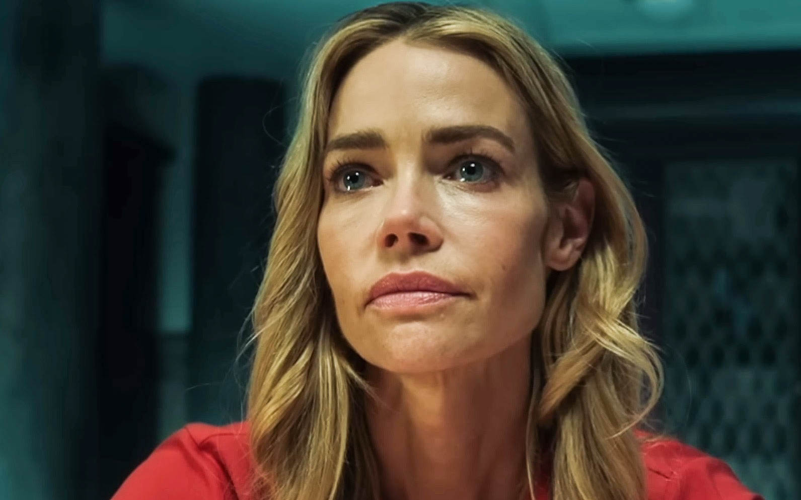 Denise Richards Facts