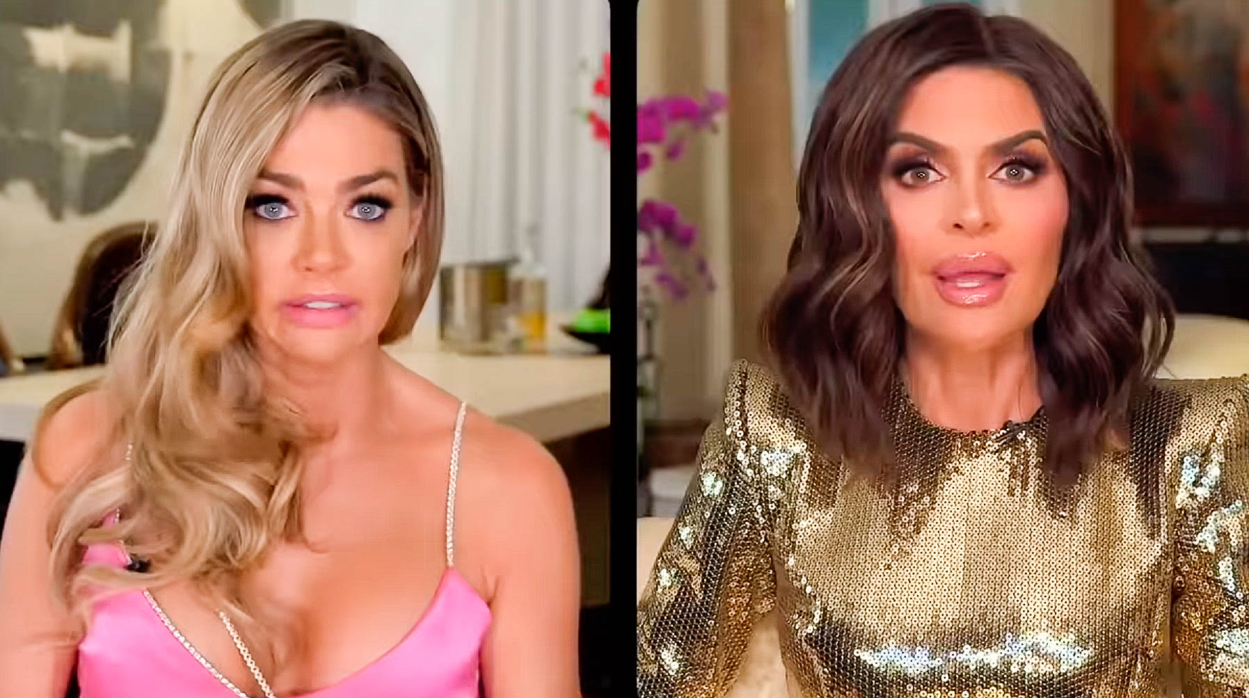 Denise Richards Facts