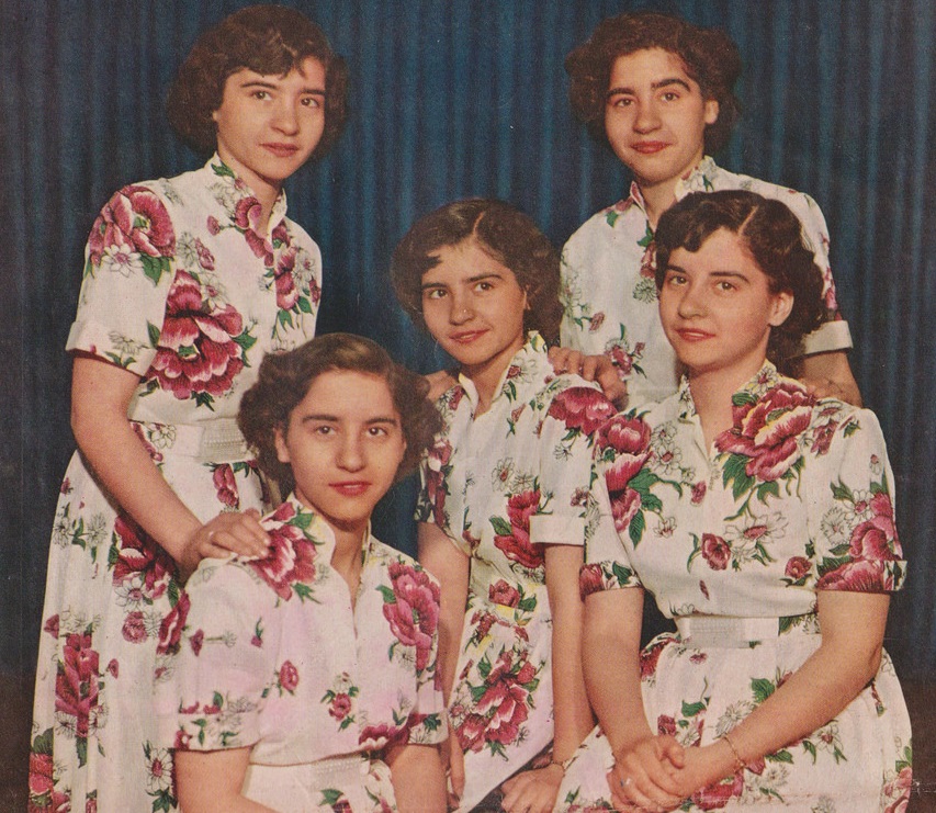 Dionne quintuplets facts 