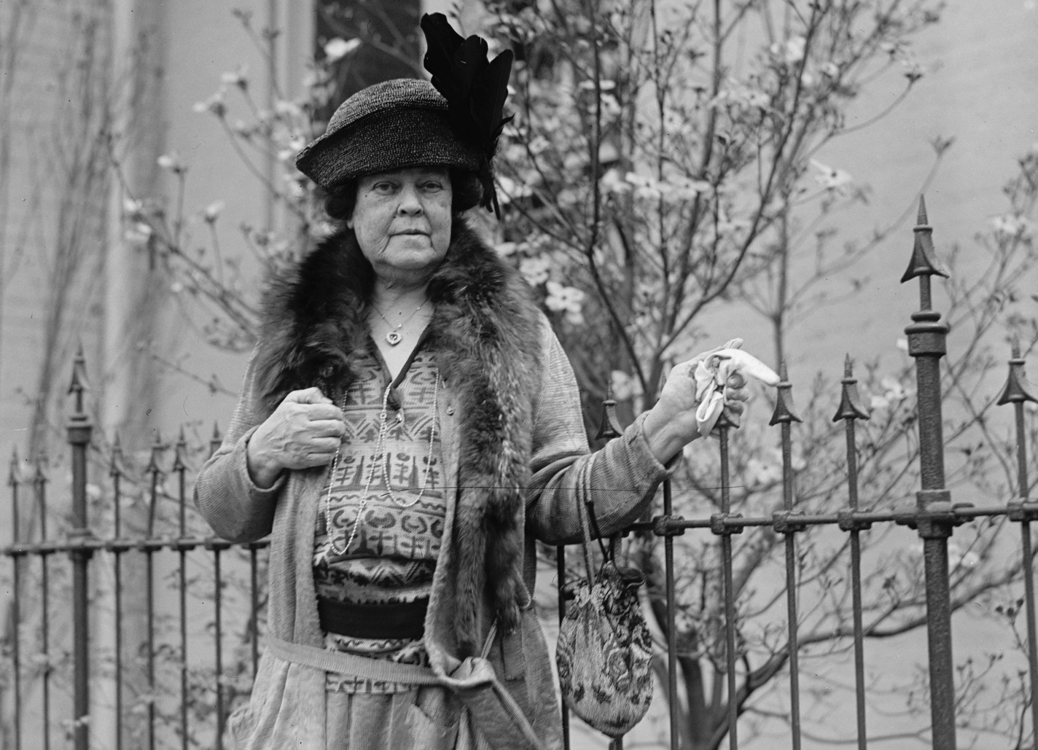 Alva Vanderbilt Facts