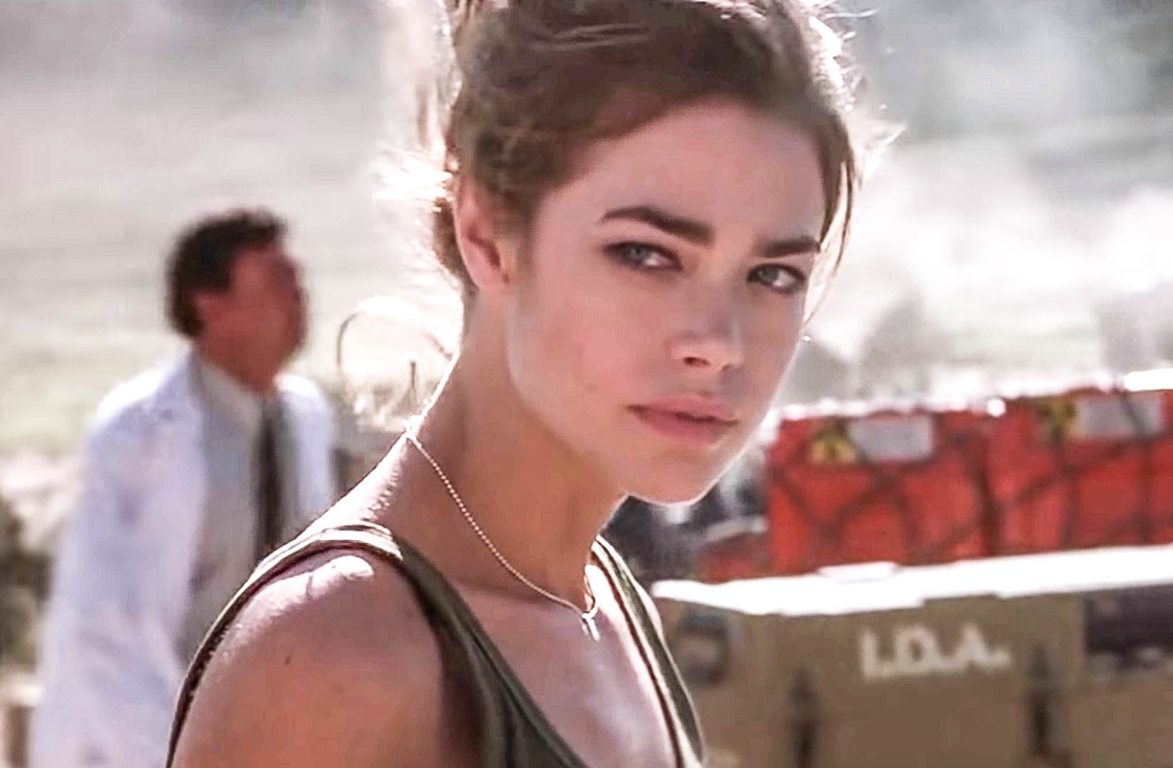 Denise Richards Facts
