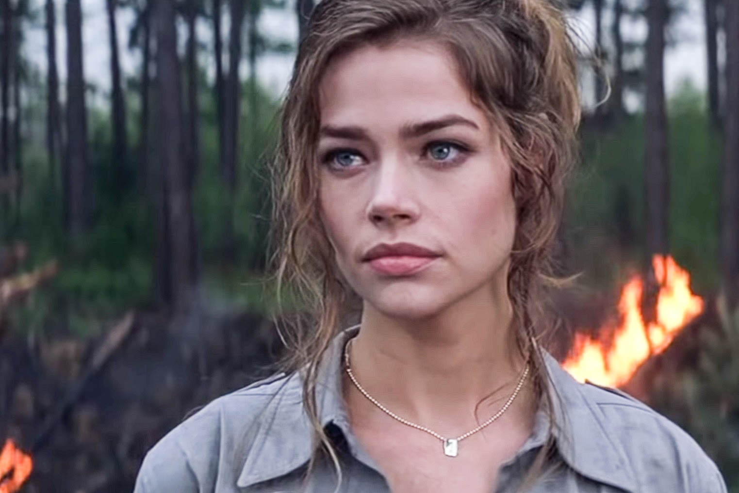 Denise Richards Facts