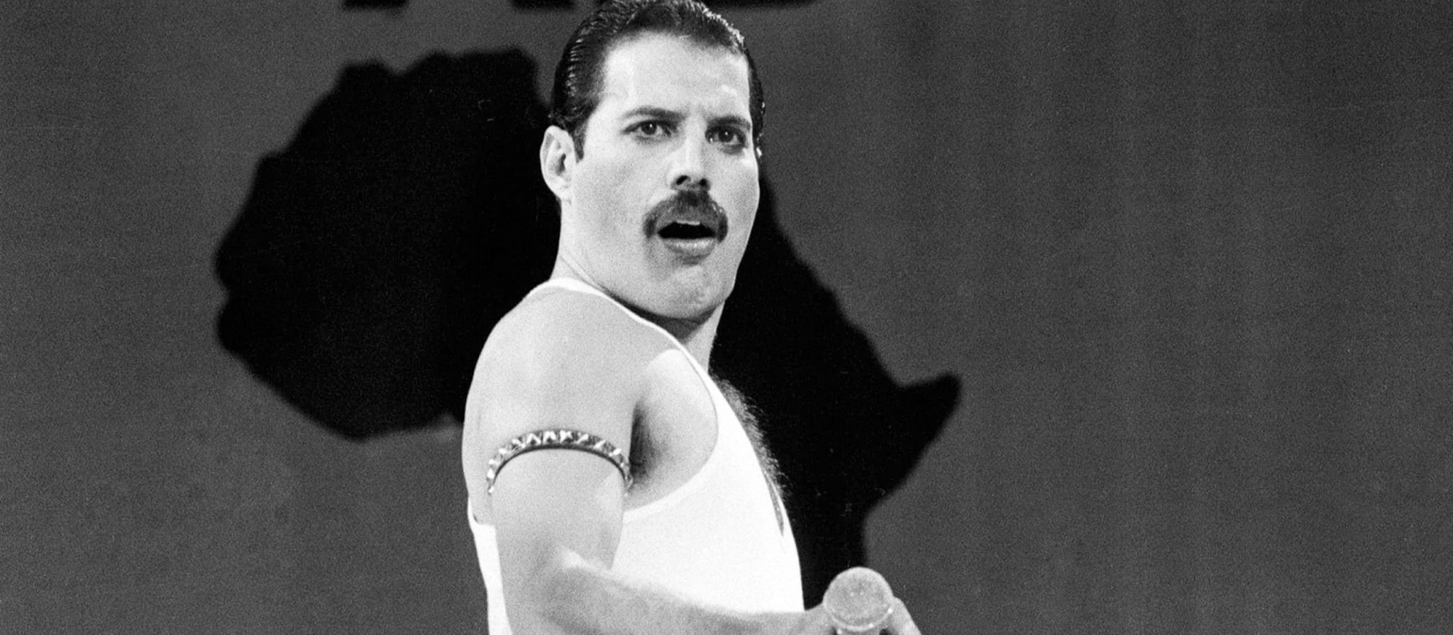 freddie mercury