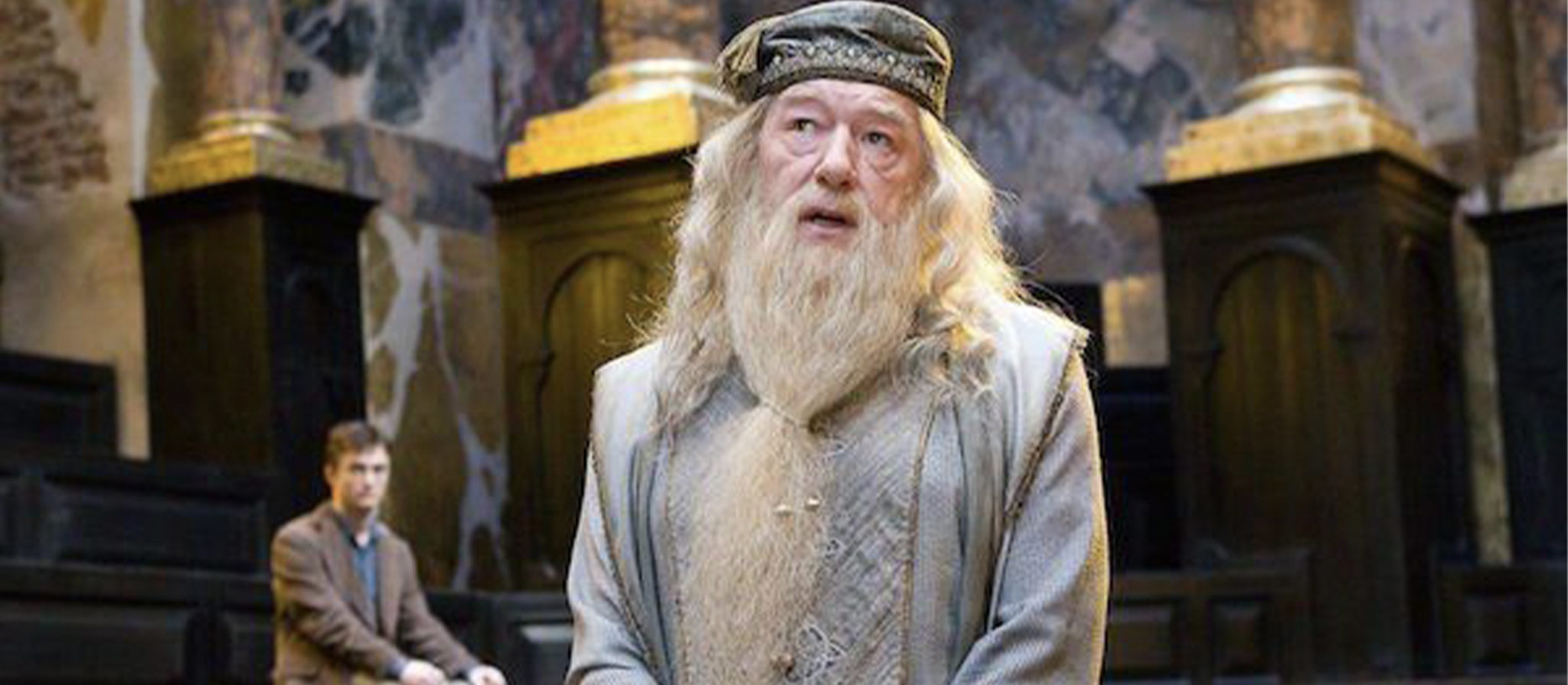 Harry Potter professors