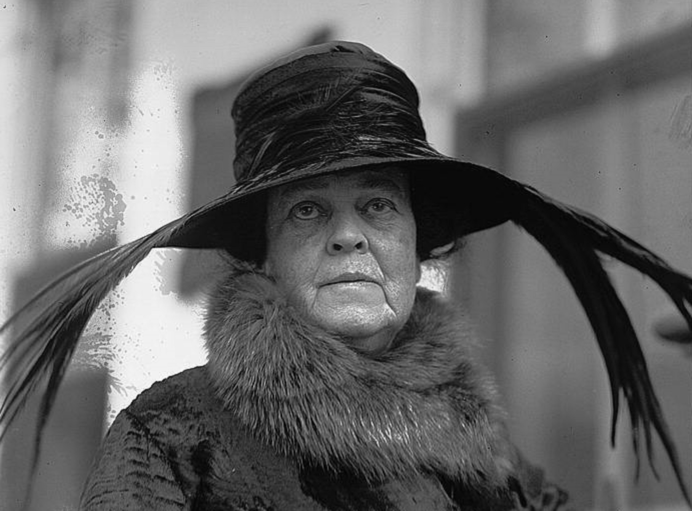 Alva Vanderbilt Facts