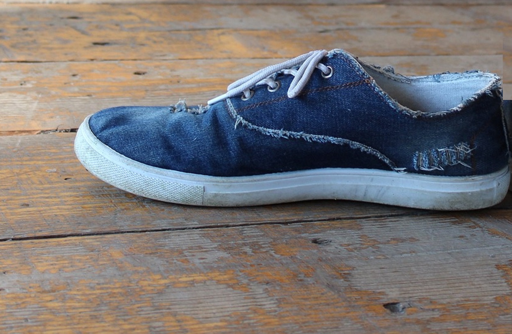 Nobody Believes My Crazy Story