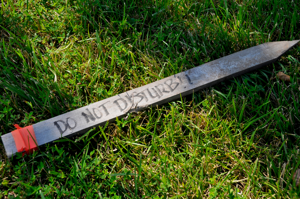 Unbelievable Neighbors