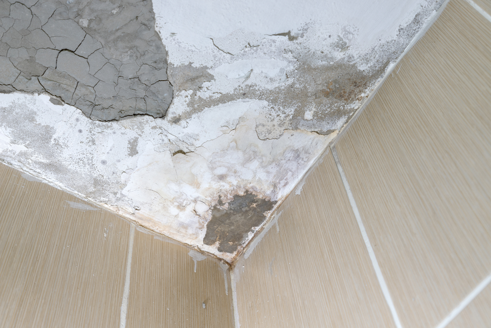 Unforgettable Tenants