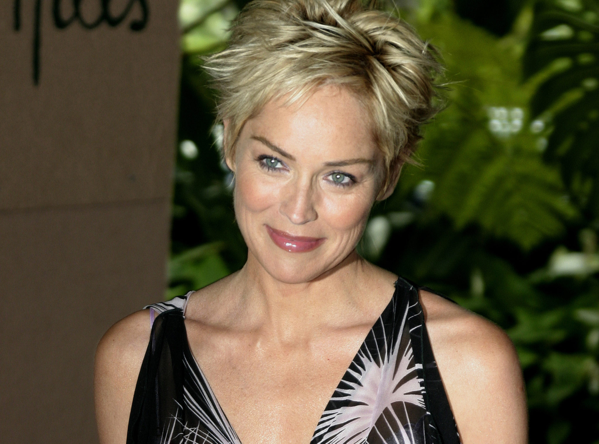 Sharon Stone facts