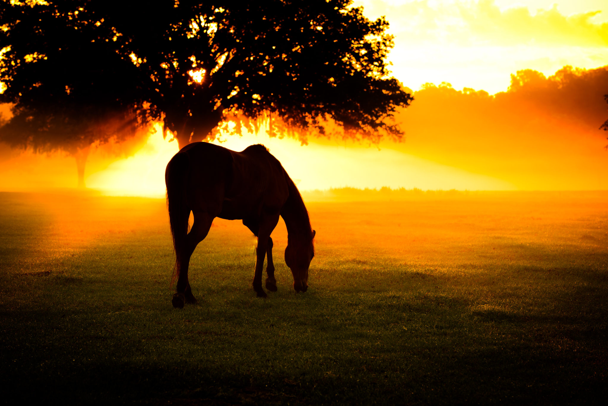 Unbelievable Neighbors