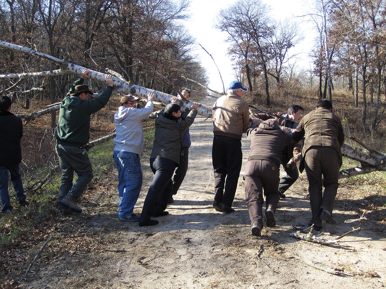 Extremely Educated Idiots