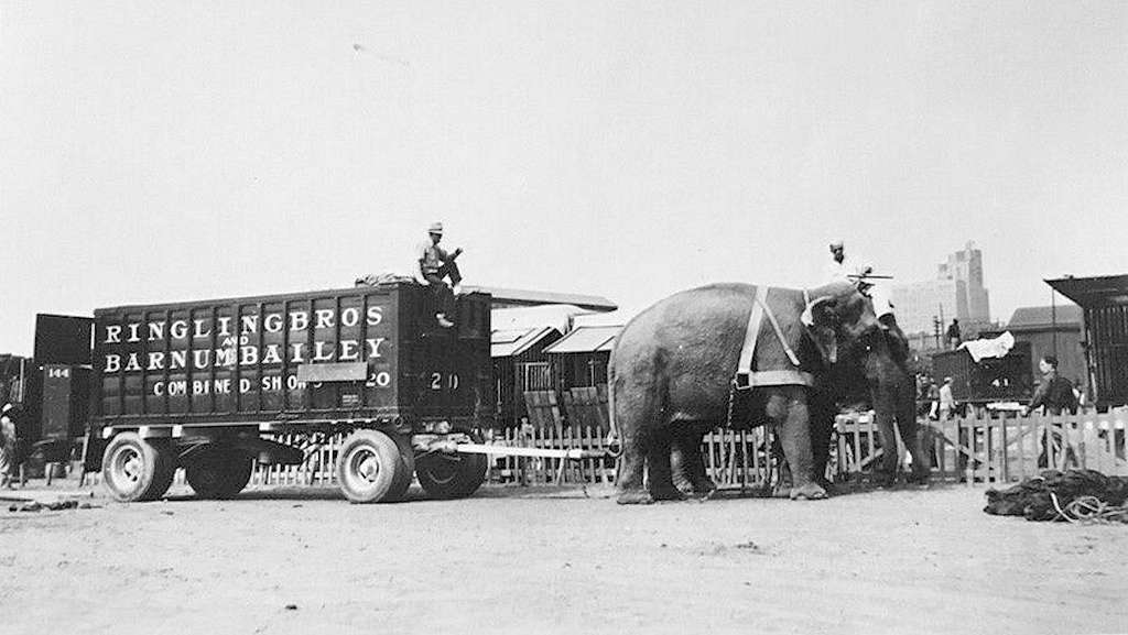 Lillian Leitzel facts