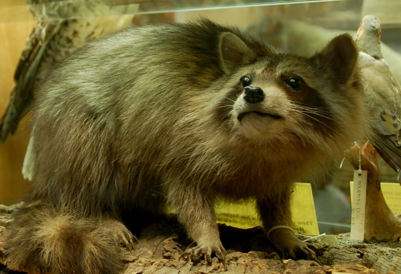 Christian Slater Facts