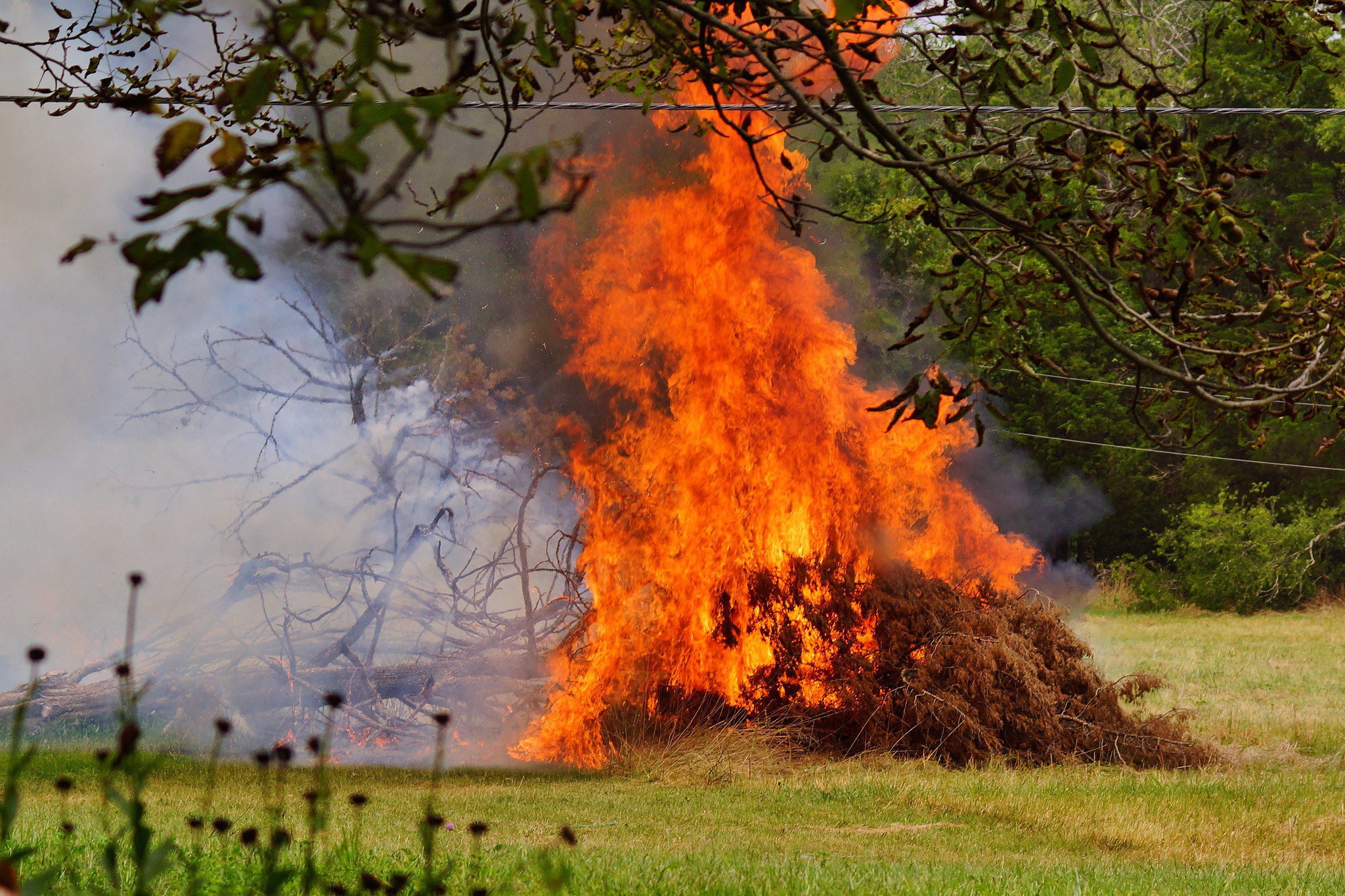 Extremely Educated Idiots