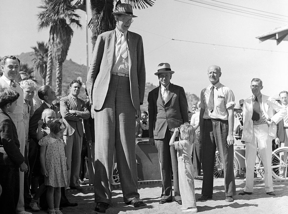 Robert Wadlow facts