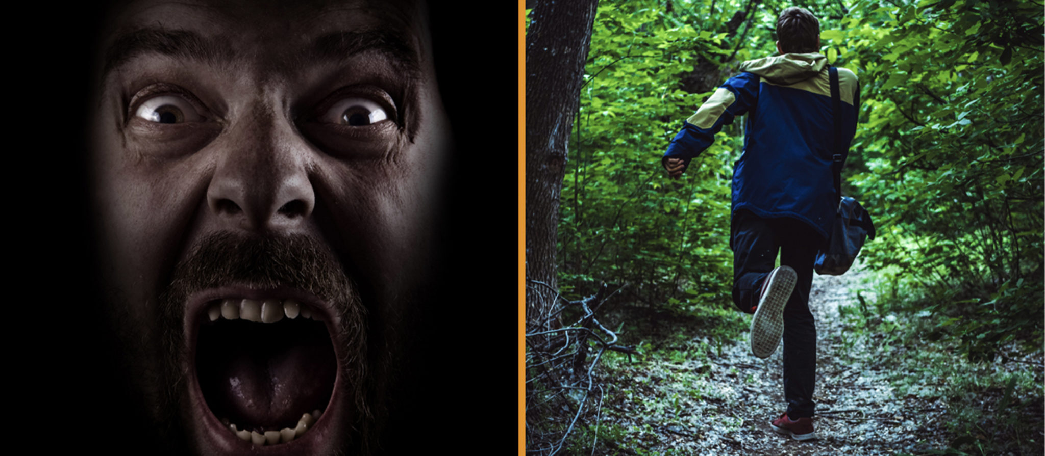 stories from the wild