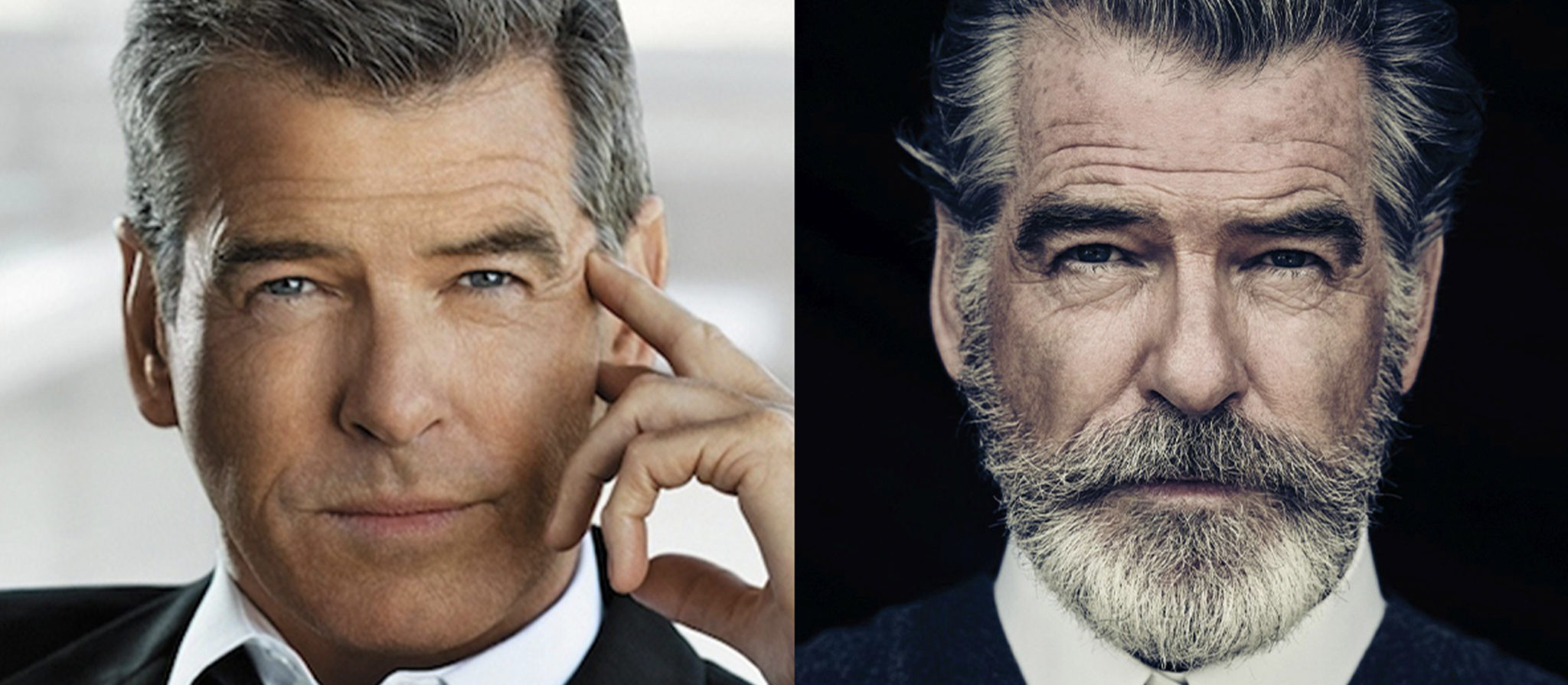 pierce brosnan